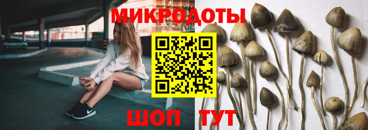Галлюциногенные грибы Psilocybine cubensis  Вход с VPN  Новошахтинск 